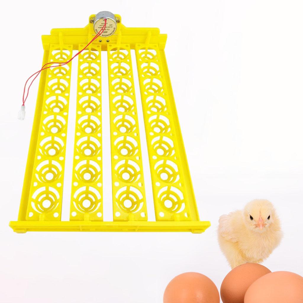 

Plastic Egg Incubator Tray Accessories Automatic Egg Turner Heater for Duck