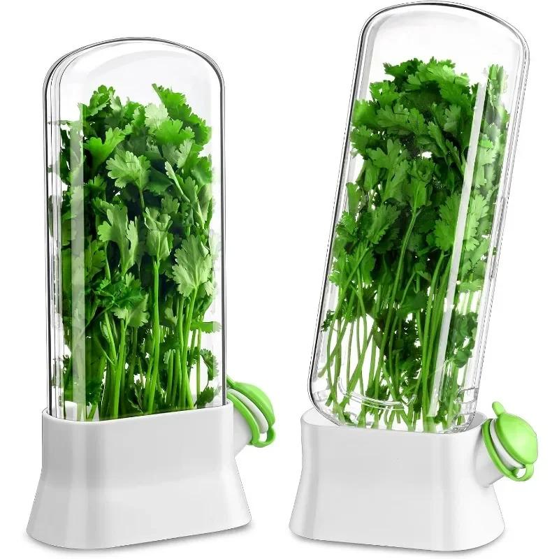 1-2Pcs Herb Keeper and Herb Saver – Glass Storage Container for Cilantro,Parsley,Mint,Asparagus,Keeps Greens Fresh for 2-3 Weeks