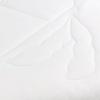 Luolai Soybean Anti-mite Antibacterial Winter Quilt