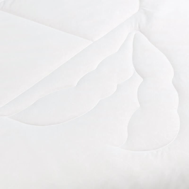 Luolai Soybean Anti-mite Antibacterial Winter Quilt