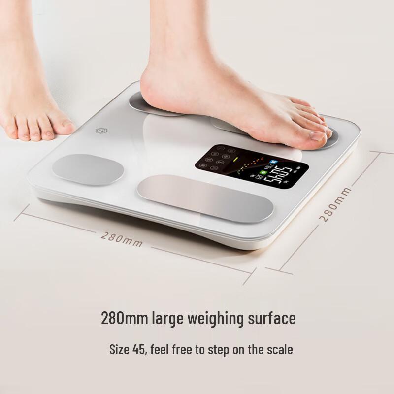 Smart Body Fat Scale (CN version)