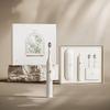 ApiYoo T11-A Sonic Electric Toothbrush CN plug (adapter included)