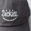 Dickies Patch Emblem Low Cap Logo Polo Cap Hat for Men and Women, Unisex, Solid Color, 874, 6-Panel Cotton Cap, Baseball Cap, Looking Charcoal, 024