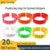 Adjustable Universal Poultry Leg Ring for Chicken, Duck, Goose, and Pigeon – New Type Leg Wrap.