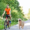 Bicycle Dog Walker, Cycling Dog Leash, Cycling Dog Leash, Dog Elastic Buffer Dog Leash