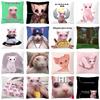 Bingus Cat Meme Pillow Case Home Decoration Funny Cushion Cover for Sofa Livingroom Throw Pillow Cover Fundas Para Cojines