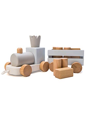 

TAOTAO Building Blocks - Stack, Pull, and Fun Crown Train Baby Toy (blue)