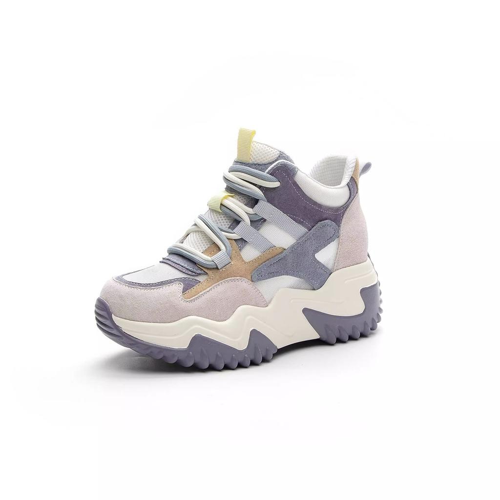2025 autumn ins tide Korean version of the new dad shoes female students versatile sports shoes street shot heightening shoes female Z310