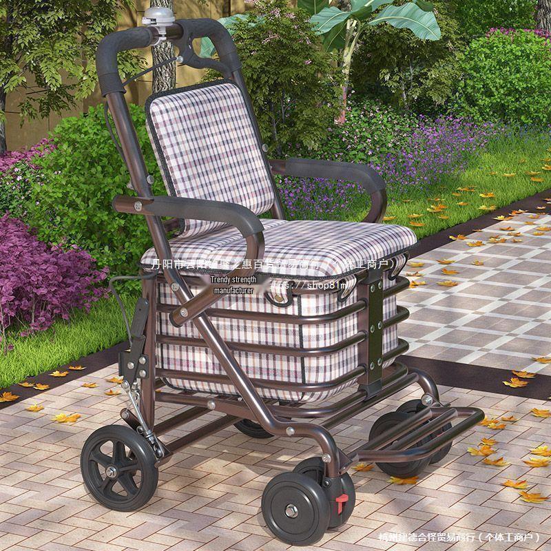 Leide Zhu Foldable Mobility Handcart: Sit & Push Shopping Trolley for Elderly