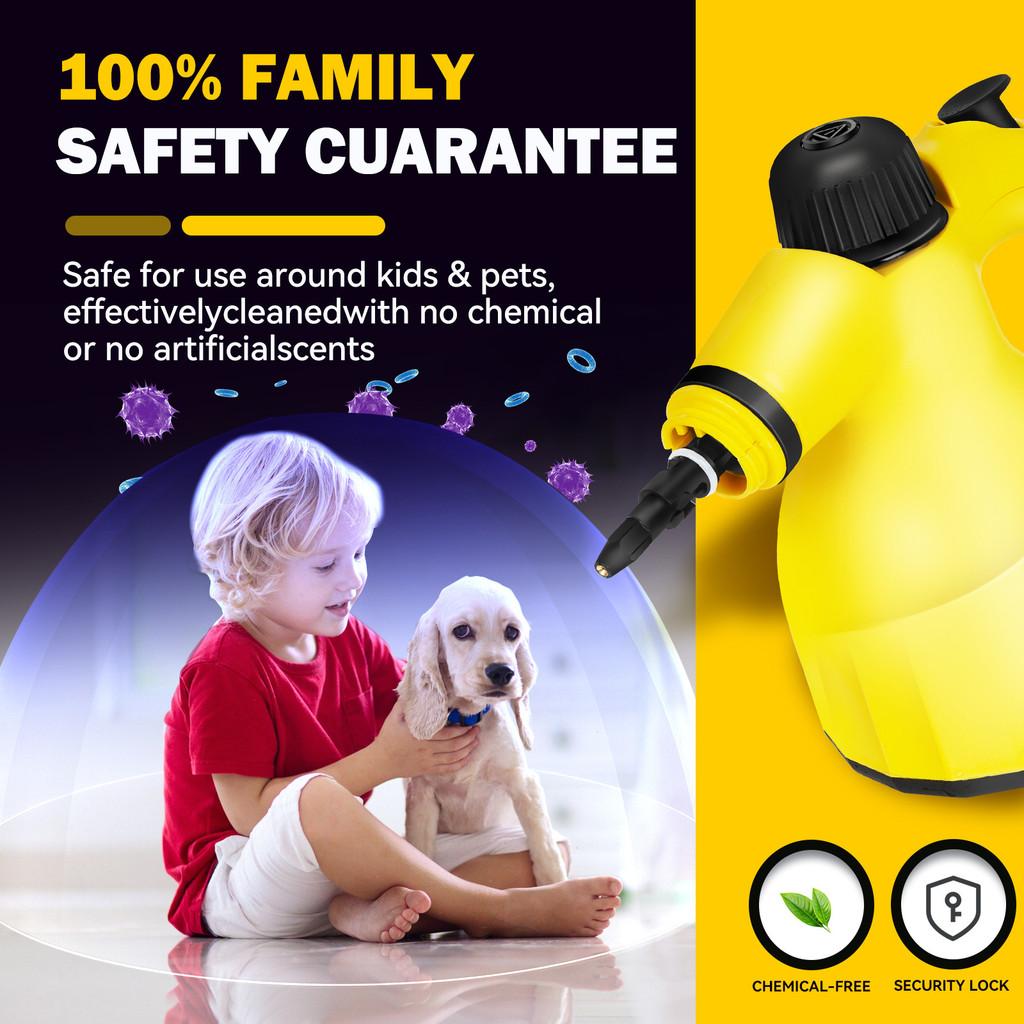 High Temperature Handheld Steam Cleaner Kitchen Lampblack Steam Cleaning Machine Household Multifunctional Cleaning Equipment