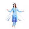 Frozen 2 Dress Adult Elsa Ice Princess Dress Elsa Full Dress Princess Anna