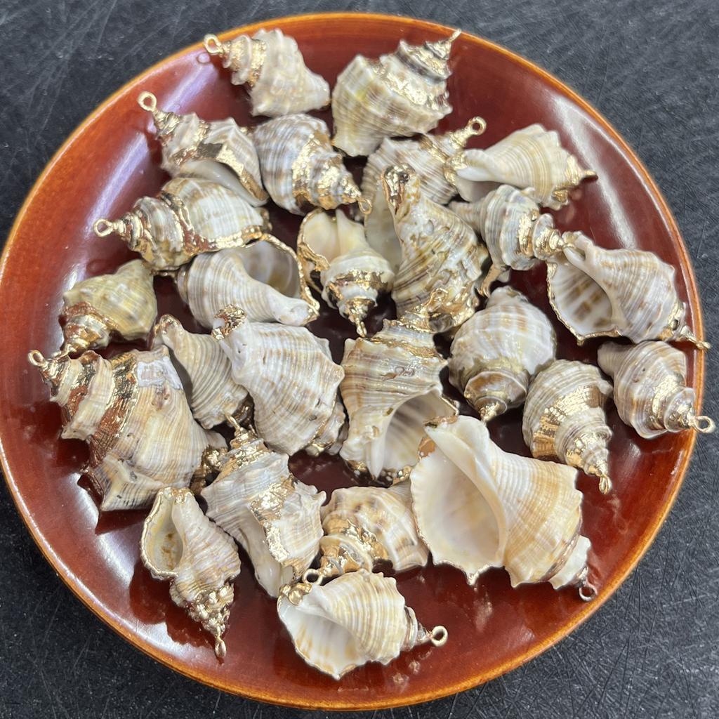 3Pcs, Natural Shell Conch Pendant, Ocean Style Irregular Charms for Jewelry Making DIY Necklace Accessories, Creative Home Decor Supplies