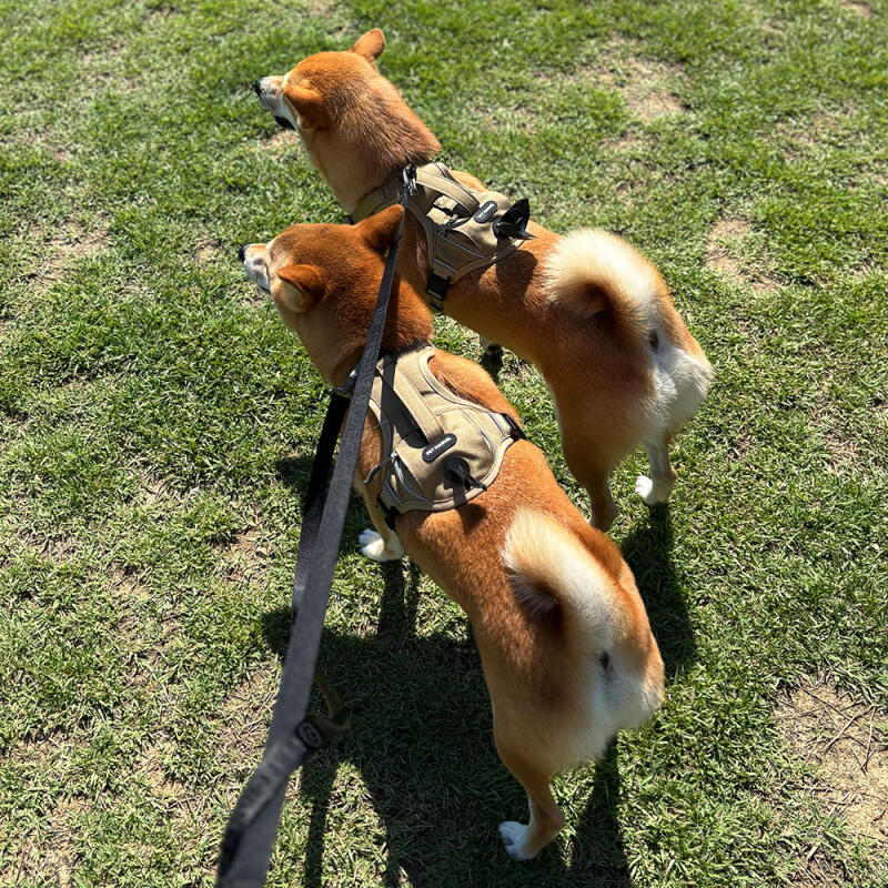 Ein-Taschen-Geschirr für große Hunde (Braun XL)