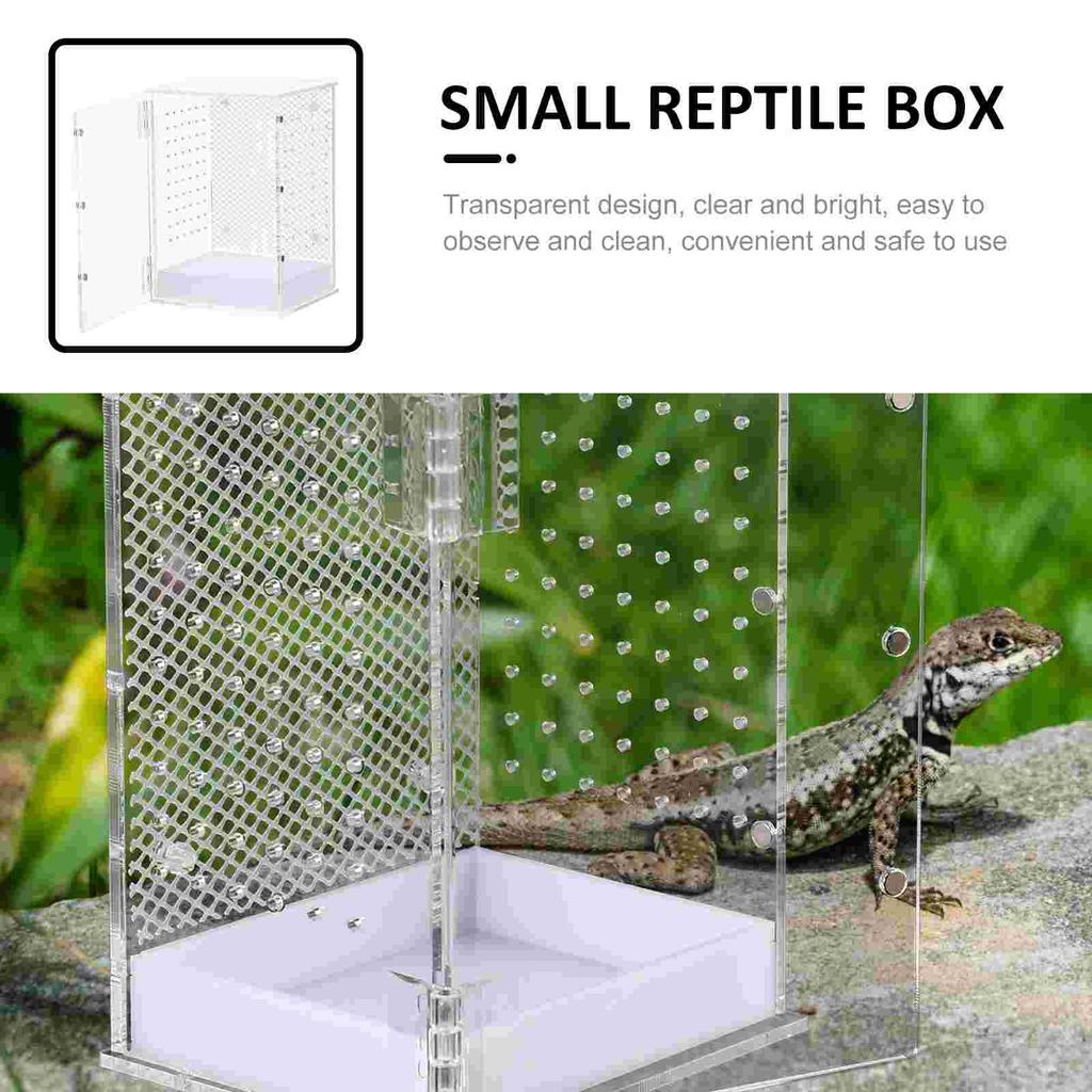Tank Reptile Pet Terrarium Feeding Container Enclosure Mantis Reptiles Praying Habitat White