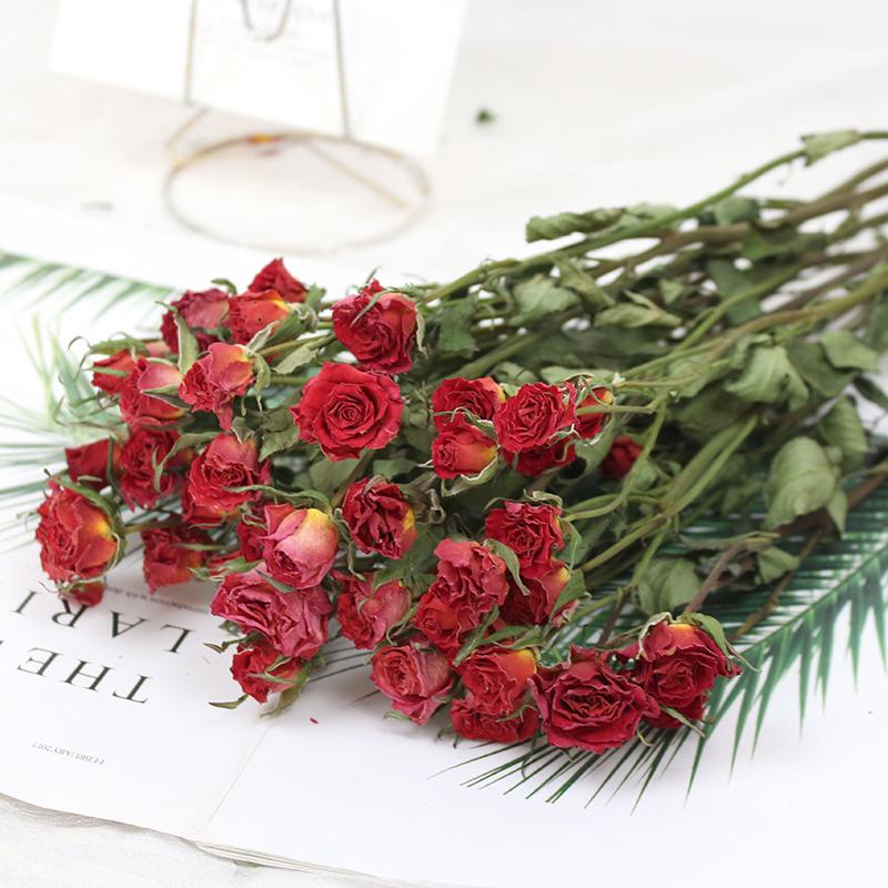 Small Dried Rose Buds for DIY Flower Arrangements and Home Decor