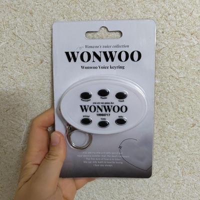 [USED] WONWOO Voice Key Ring SEVENTEEN
