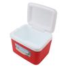 5L Cooler Box Portable Insulin Cooler Box Home Camping Portable Refrigerated Food Cooler Red