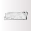 OUSEITECH X EWEADN V99 Gaming Mechanical Transparent Keyboard with Transparent 99 RGB Compatible with Crystal Switches Smart Keyboard, Keycaps, Keys,