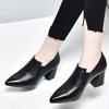 Fashion Spring and Autumn New Thick Heeled Women Shoes Fashion Black Pointed Toe Comfortable Shallow Mouth Slip on Pumps Single Shoes