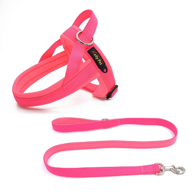 Kellypet Pet Harness And Leash Set With Adjustable Nylon For Small Dogs