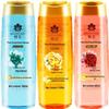 Fenghua Classic Plant Feuchtigkeitsspendender Conditioner 2er-Pack