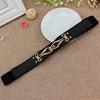 Spring And Summer Women'S Thin Dress With Elastic Buckle Waist Seal Women'S Fashion Accessories, Thin Elastic Belt Three Sizes
