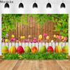 Decorațiuni pentru casă – Drapeluri, banere, accesorii
