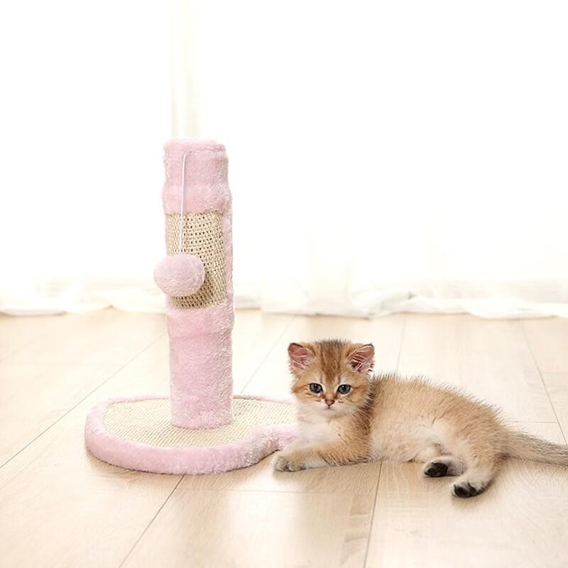 Heart-Shaped Detachable Cat Scratcher