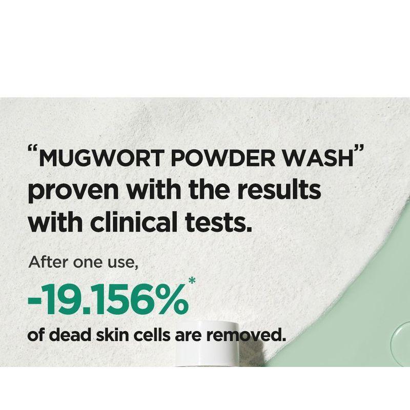 Isntree - Mugwort Calming Powder Wash