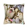 Pillow Cover Green Fruit Space Cat  Fashion Pillow Case For Sofa Home Decor Pillowcases