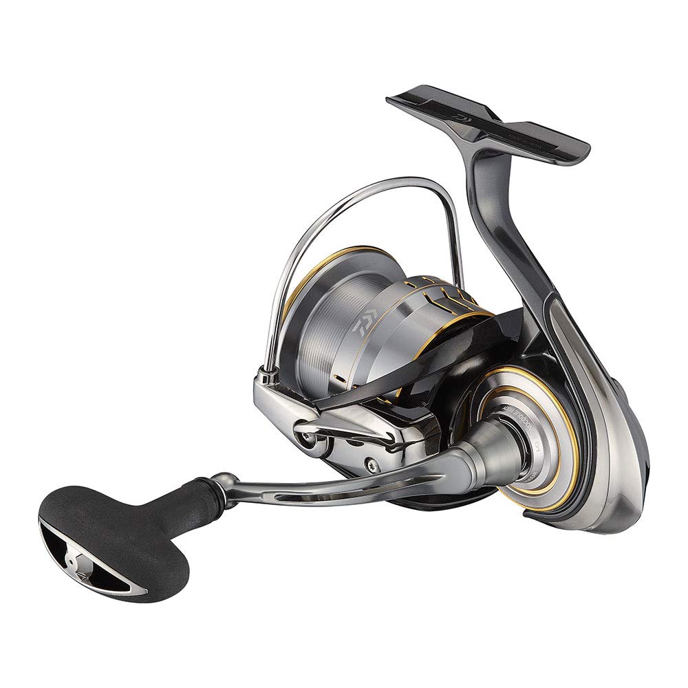 Daiwa 21 Rubias Airity LT4000-CXH