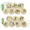 7 Stück Neugeborenen-Fotografie-Requisiten Holz-Monatsmeilenstein-Karten Babyparty-Geschenk für kleine Jungen Mädchen Schwangerschaftswachstums-Ankündigungskarten