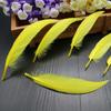 50Pcsdiy Scimitar Feather Colored Feather Handicrafts Jewelry Accessories Material Feather
