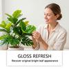 Artificial Plant Dust Cleaner Liquid for Office Display and Shelf Styling, Artificial Flower Cleaning, Display Item Cleaning, Daily Arrangement