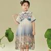 Besticktes Kleid im chinesischen Hanfu-Stil für Mädchen