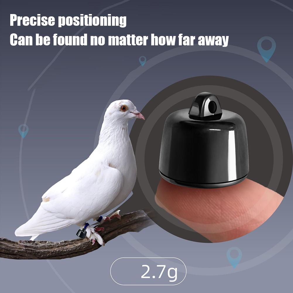 Mini-Tracker for Cats Puppies for Android ISO System for Bird and Dog Cat View Three Days of Movement GPS Trackers