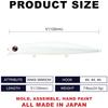 LUCKY CRAFT SW Surface Wonder 120 Fishing Lure Topwater Sea