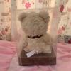 [USED] Teddy Bear Stuffed Animal Interior Preserved Flower Gift Celebration