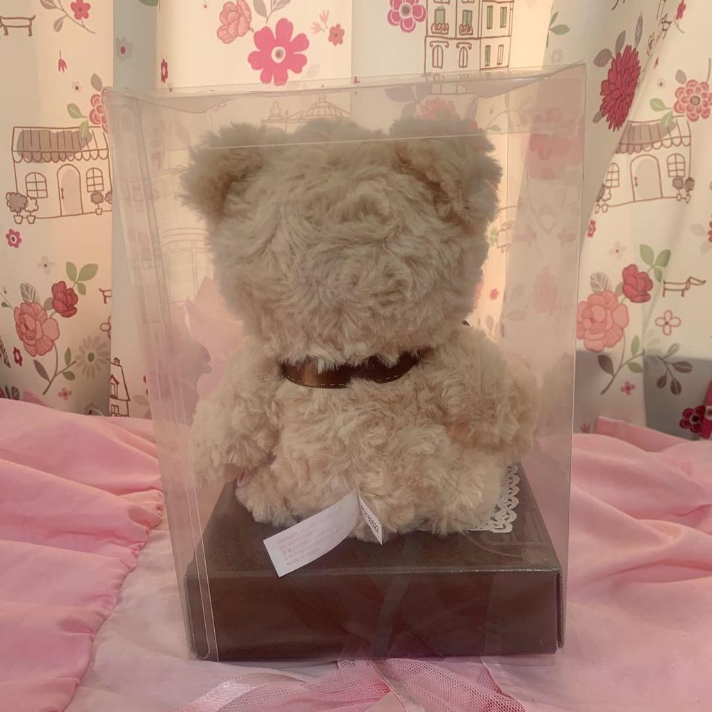 [USED] Teddy Bear Stuffed Animal Interior Preserved Flower Gift Celebration