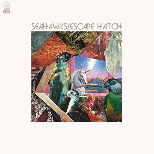

CD SEAHAWKS - ESACPE HATCH OM18CD Ocean Moon 2016 US Rock Used