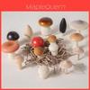 Wooden Childrens Toy Set With Colorful Mushroom Play For Imaginative Kids