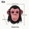 Masque de Singe à Grandes Oreilles Tendance pour Séances Photo d'Halloween, Coiffe Animale Singe Drôle, Peut Être Étiqueté, Passé l'Inspection Qualité