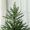 5ft Bushy and Bare Artificial Christmas Tree - Green