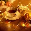 LED Copper Wire Christmas & Valentine's Day Pearl String Lights for Festive Decoration