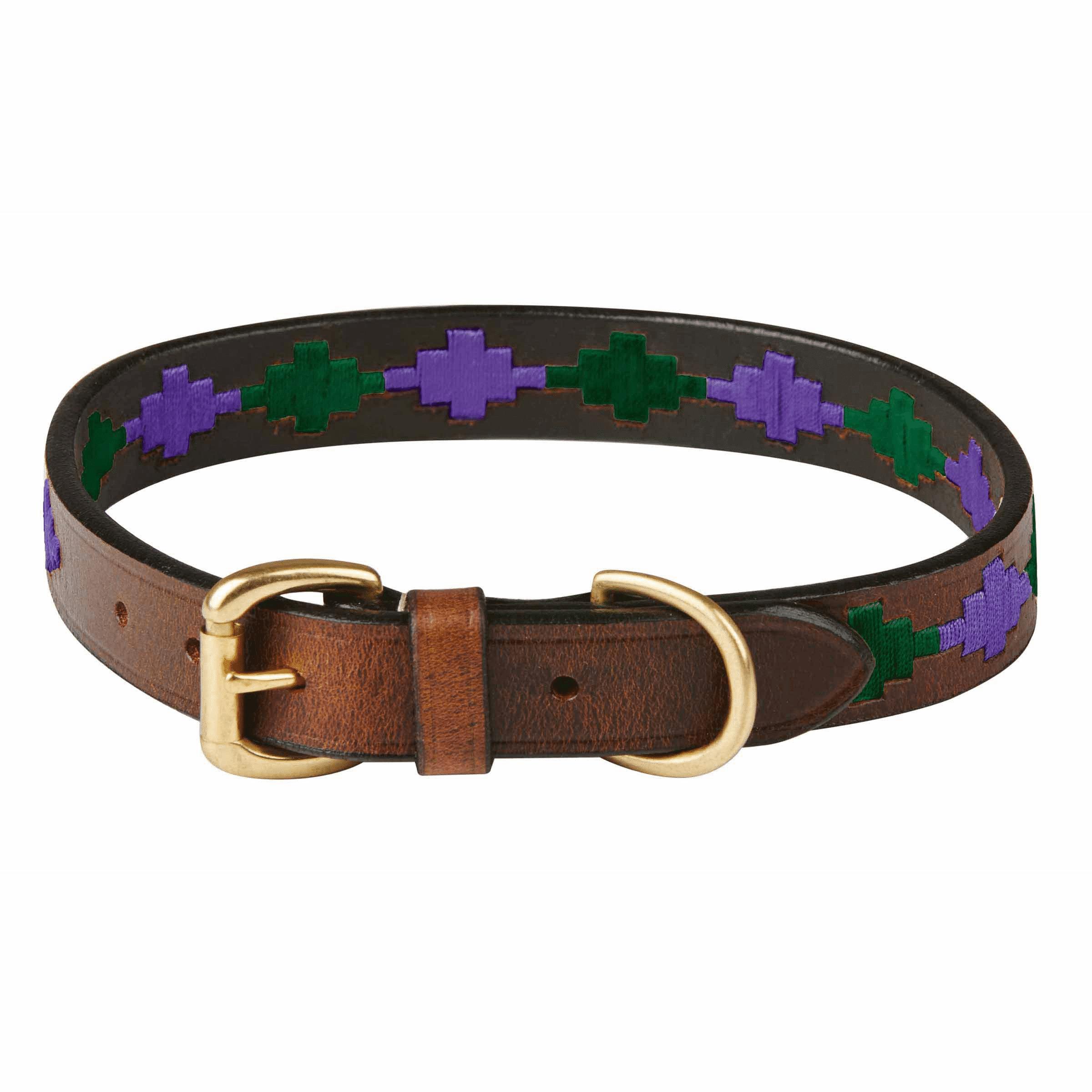 Collare per cani in pelle Polo Weatherbeeta Medium