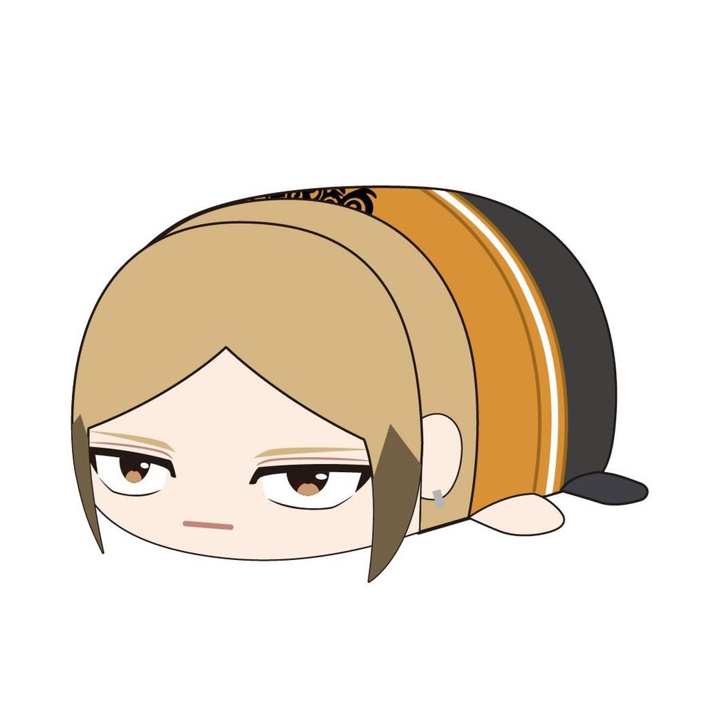 WIND BREAKER Potekoro Mascot BIG2 D: Kota Sako