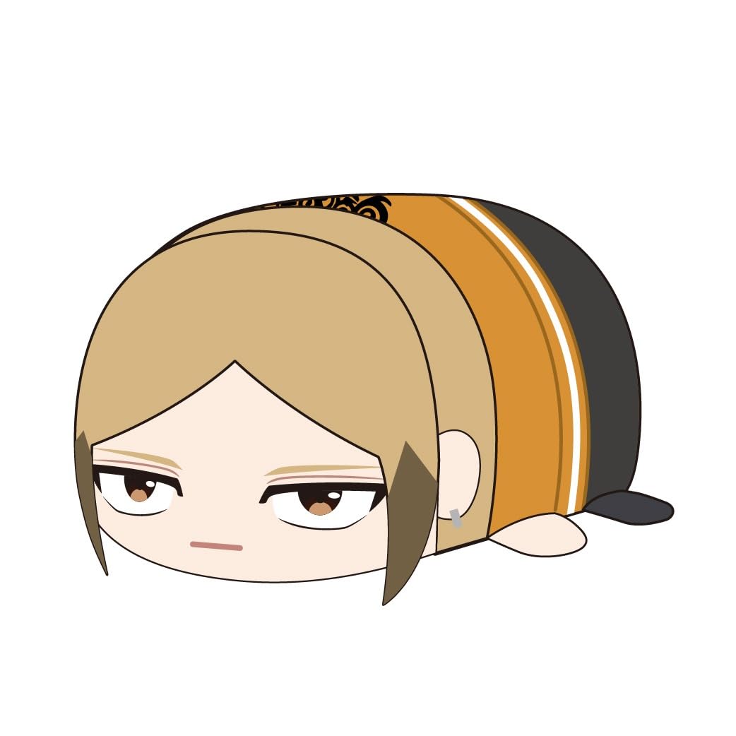 

WIND BREAKER Potekoro Mascot BIG2 D: Kota Sako