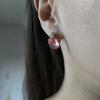 Silver Earrings with Cubic Zirkonia (60002213)