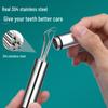 Stainless Steel Toothpick Set: Portable Teeth Cleaning Tool and Tooth Gap Cleaner