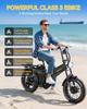 Tesway X7 AWD Electric Bike, Peak 3000W Dual Motor, 52V 60Ah Battery, Range 300km, 20*4.0'' Tires, 7 Speed, 8A Charger